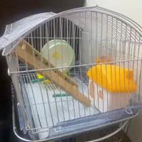 قفس همستر به همراه لوازم جانبی|لوازم جانبی حیوانات|تهران, حشمتیه|دیوار