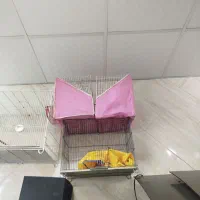قفس پرنده
