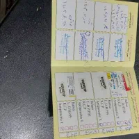 سگ خوب و حرف گوش کن|سگ|برازجان, |دیوار