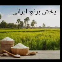 برنج درجه 2ایرانی