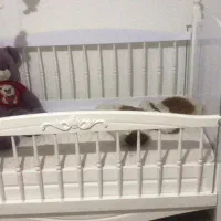 فروش تخت کودک چوب ترک در حد نو|تخت و سرویس خواب|چهارباغ, |دیوار