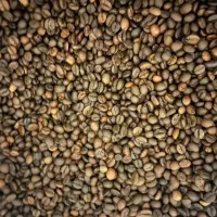 فروش قهوه روبوستا و عربیکا|خوردنی و آشامیدنی|هشتگرد, طاووسیه|دیوار