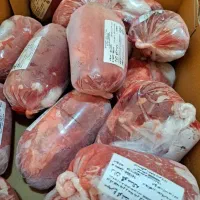 استخدام ویزیتور حضوری مرغ و گوشت منجمد