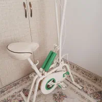 دوچرخه ثابت
