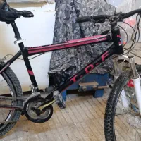 دوچرخه ۲۶|دوچرخه، اسکیت، اسکوتر|گنبد کاووس, |دیوار