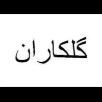 بازاریاب حرفه ای