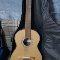 گیتار دالاهو