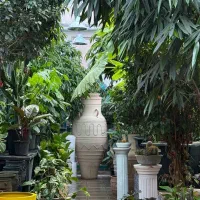 استخدام نیروی ساده آقا برای گلخانه