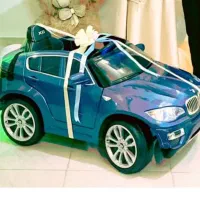 ماشین شارژی با ام و در حد نو