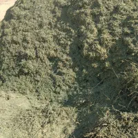 یونجه خرمن کوب درجه ۱|حیوانات مزرعه|سنندج, |دیوار