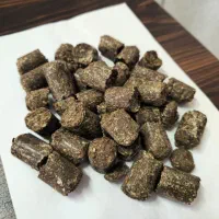 نیروی کار ساده