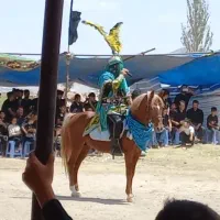 اسب نریان