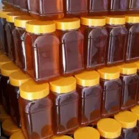 عسل گون و کنار