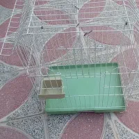 قفس درحد نو