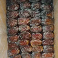 خرما کبکاک|خوردنی و آشامیدنی|شیراز, گلکوب|دیوار