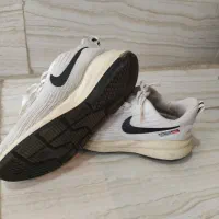 کفش|کیف، کفش، کمربند|مرند, |دیوار