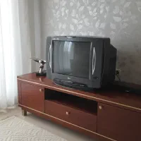 تلوزیون ۲۱ اینچ LG