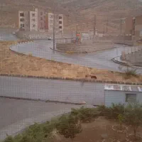 رهن آپارتمان|اجارهٔ آپارتمان|زرقان, |دیوار