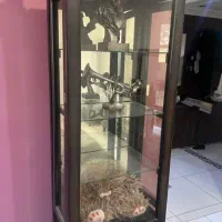 بوفه در حد نو