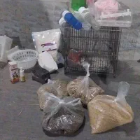 شاه دانه کتان ارزن و غذای عروس هلندی