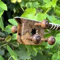 تار مراغه چی،چوب گردو|سازهای سنتی|اندیشه, اندیشه فاز ۴|دیوار