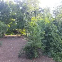 خانه باغ ۸۰۰متری کلاله روستای طوقه|فروش دفتر صنعتی، کشاورزی، تجاری|کلاله, |دیوار