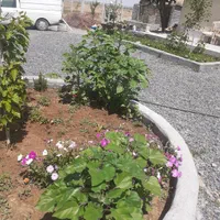 علف چیدن رسیدگی نگهداری  هستم|خدمات باغبانی و درختکاری|اراک, |دیوار