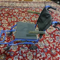 ویلچر کودک و نوجوان|پزشکی|کازرون, |دیوار