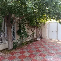 باغ-و-باغچه-در-یوسف-رضا