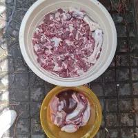 فروش دام طلا