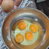 تخم مرغ بومی گلپایگانی گنجینه|خوردنی و آشامیدنی|اصفهان, شیخ طوسی|دیوار