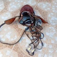 زین اسب|اسب و تجهیزات اسب‌سواری|بوشهر, |دیوار