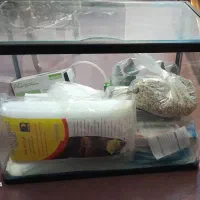 آکواریوم|ماهی|قم, شاه احمد قاسم|دیوار