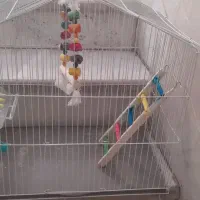 فروش  قفس با تمام وسایلش...تمیز