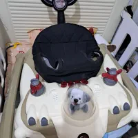 روروئک