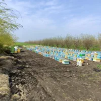 عسل طبیعی کوهستان|خوردنی و آشامیدنی|تهران, مولوی|دیوار