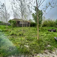 زمین مسکونی نقلی /خمام/انشعابات پای زمین