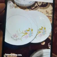 چند دسته بشقاب نو بفرش میرسد|ظروف سرو و پذیرایی|مشگین شهر, |دیوار