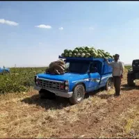 هندوانه