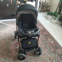 کالسکه دلیجان مدل بنیتا