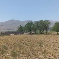 زمین زراعی 1400 متر روستای سرسبز یلداش آباد