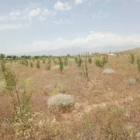 باغ ۹۰۰۰هزار متر|فروش زمین و ملک کلنگی|نیر (اردبیل), |دیوار