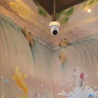 با ژاویس امنیت را زیبا نصب کنید(شرایط پرداخت آسان)