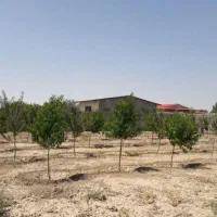 باغ ویلا در وایقان|فروش زمین و ملک کلنگی|شبستر, |دیوار