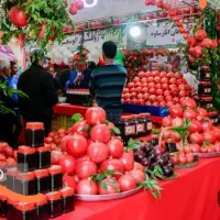 جشنواره انار فاروق|تور و چارتر|شیراز, شهرک مخابرات|دیوار