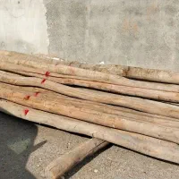 خرید و فروش انواع چوب و تخته چوب وچنار سقفی|عمدهفروشی|کوزران, |دیوار