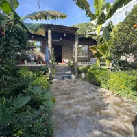 ووعو-ویوابدی-دلنشین-جذاب-مدارک-کامل-بازچی-میخایkh