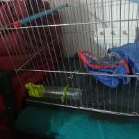 قفس پرنده کف تاشو