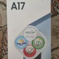 A 17