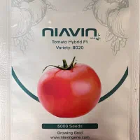 بذر گوجه فر پربار ،تیپ گرد، صادراتی مشابه گوجه۸۳۲۰